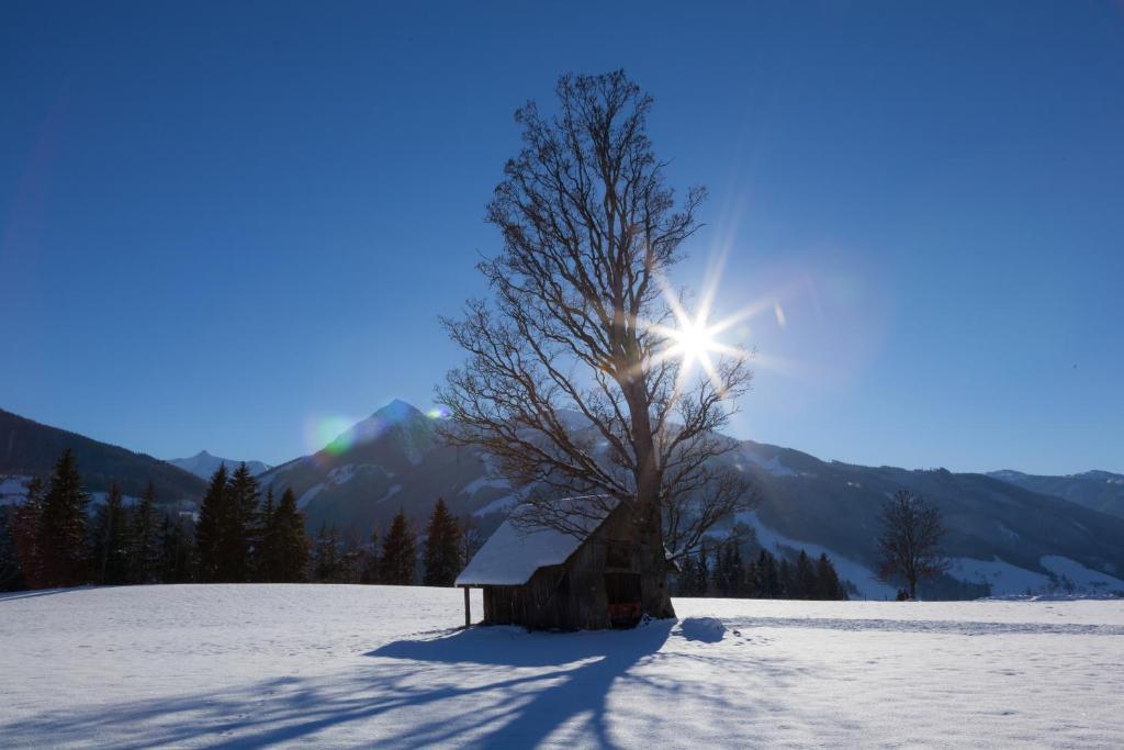 Appartements Hochegg Schladming Dış mekan fotoğraf